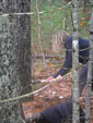 Saw Mill Days