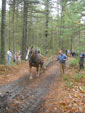 Saw Mill Days