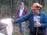Saw Mill Days