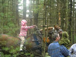 Saw Mill Days