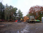 Saw Mill Days