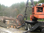 Saw Mill Days