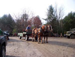 Saw Mill Days